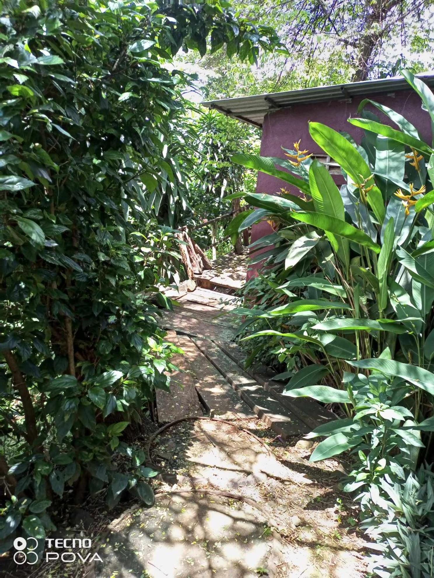 Apartamento Familyhouse & Trekking Banlung Habitación foto