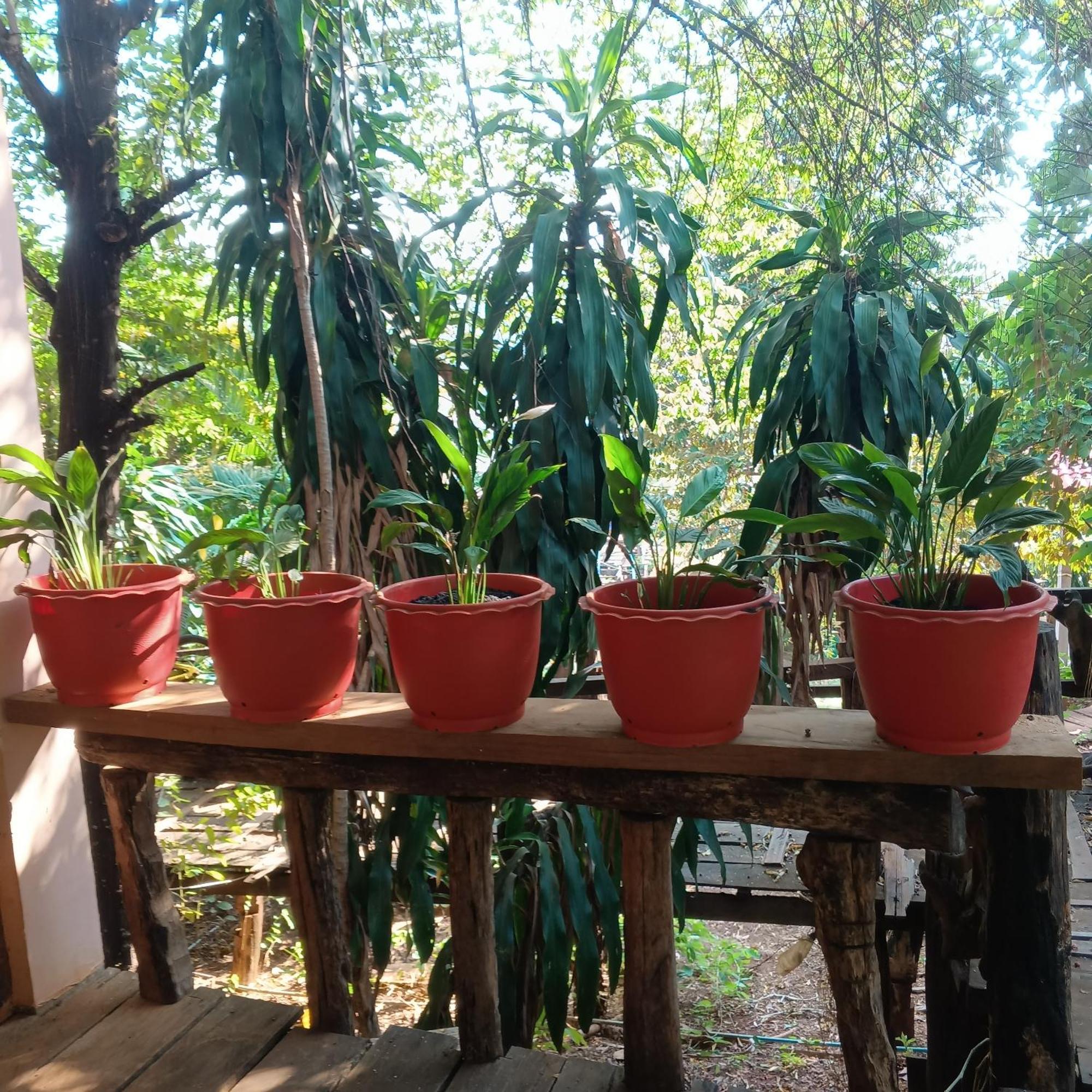 Apartamento Familyhouse & Trekking Banlung Habitación foto